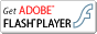 ��ǹ���Ŵ Flash Player - Download 