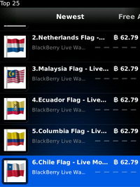 BlackBerry Torch 9800 - แบล็คเบอร์รี่ Torch 9800