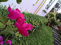 Acer Liquid mini E310 - เอเซอร์ ลิควิด มินิ