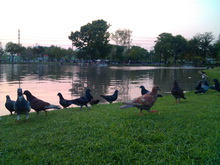 Acer Liquid Metal - เอเซอร์ Liquid Metal