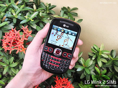 LG Wink 2 SIMs (C310) - แอลจี C310