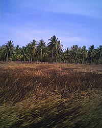 GNET G708 - จีเน็ต