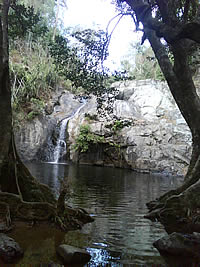 Sony Ericsson W302 - โซนี่ อีริคสัน 