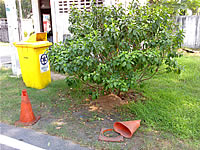 i-mobile 6010 - ไอโมบาย 6010 แอนดรอยด์